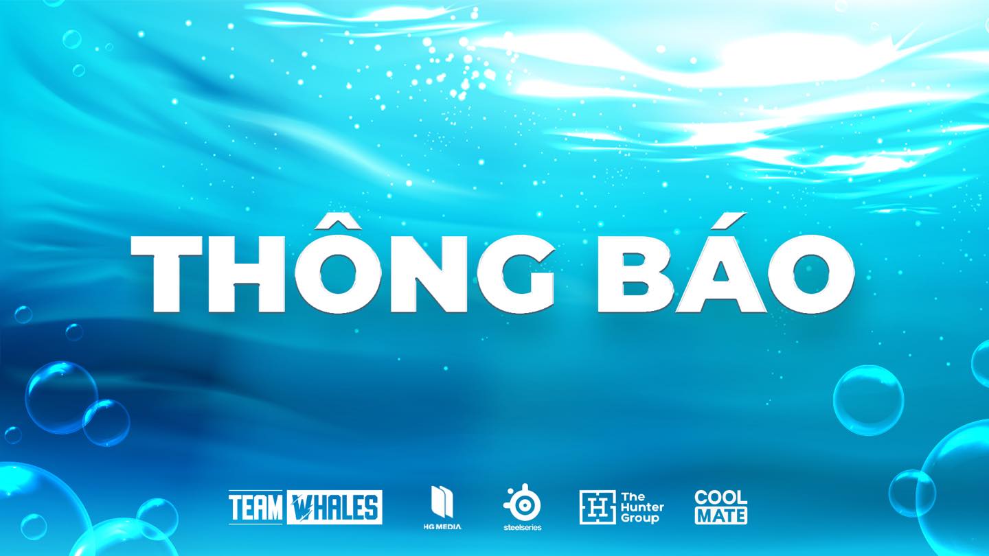 Team Whale Thong Bao