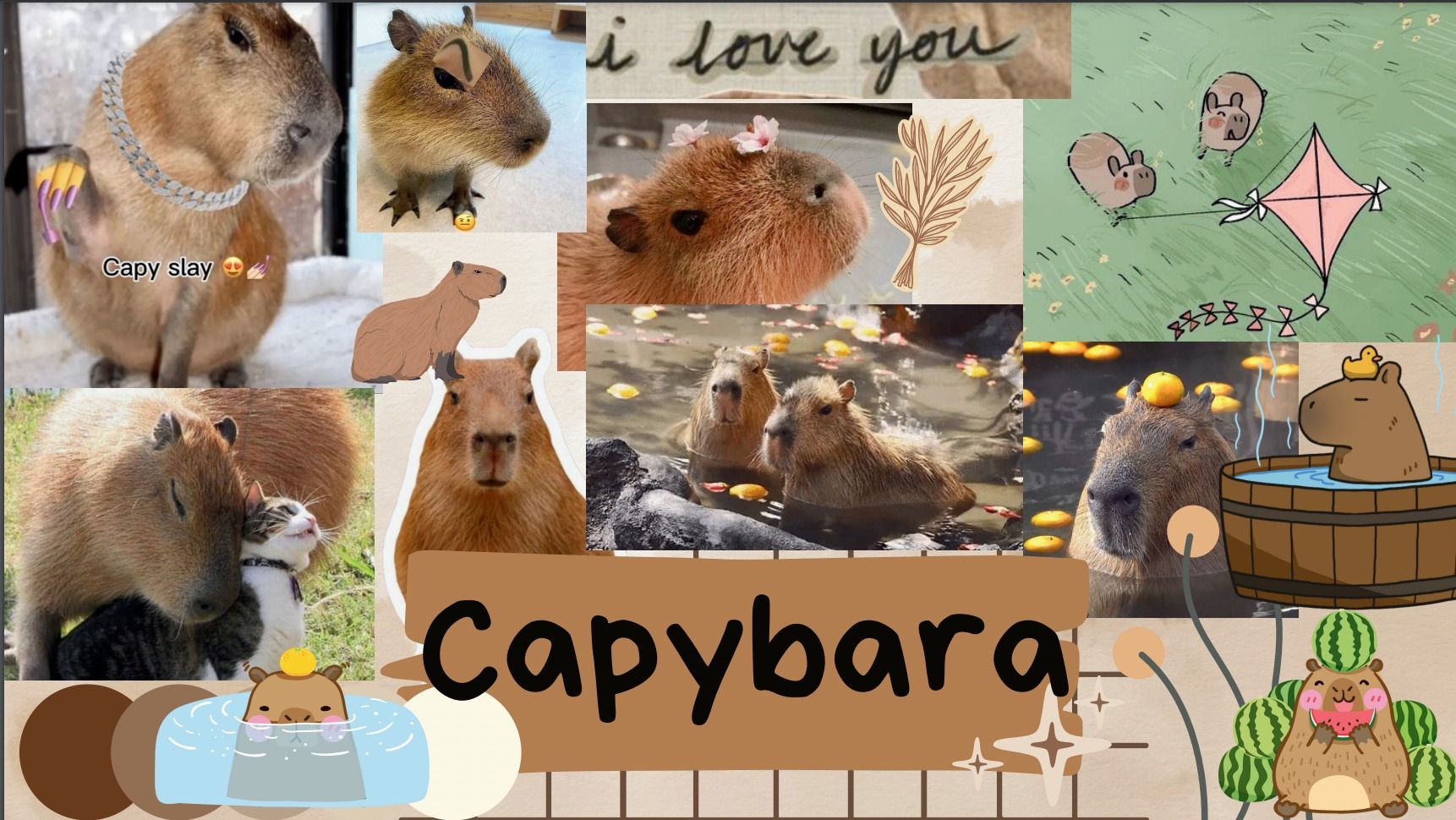 1725182015 328 99 Hinh Nen Capybara Cute 4K Sac Net Cho Dien