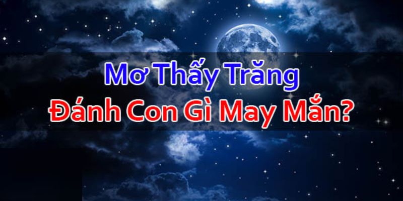 mo-mat-trang-danh-so-gi-giai-dap-chi-tiet-tu-chuyen-gia