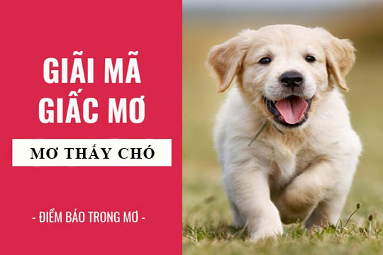 Mơ thấy chó con - Giải mã giấc mơ và gợi ý số đề may mắn (1)