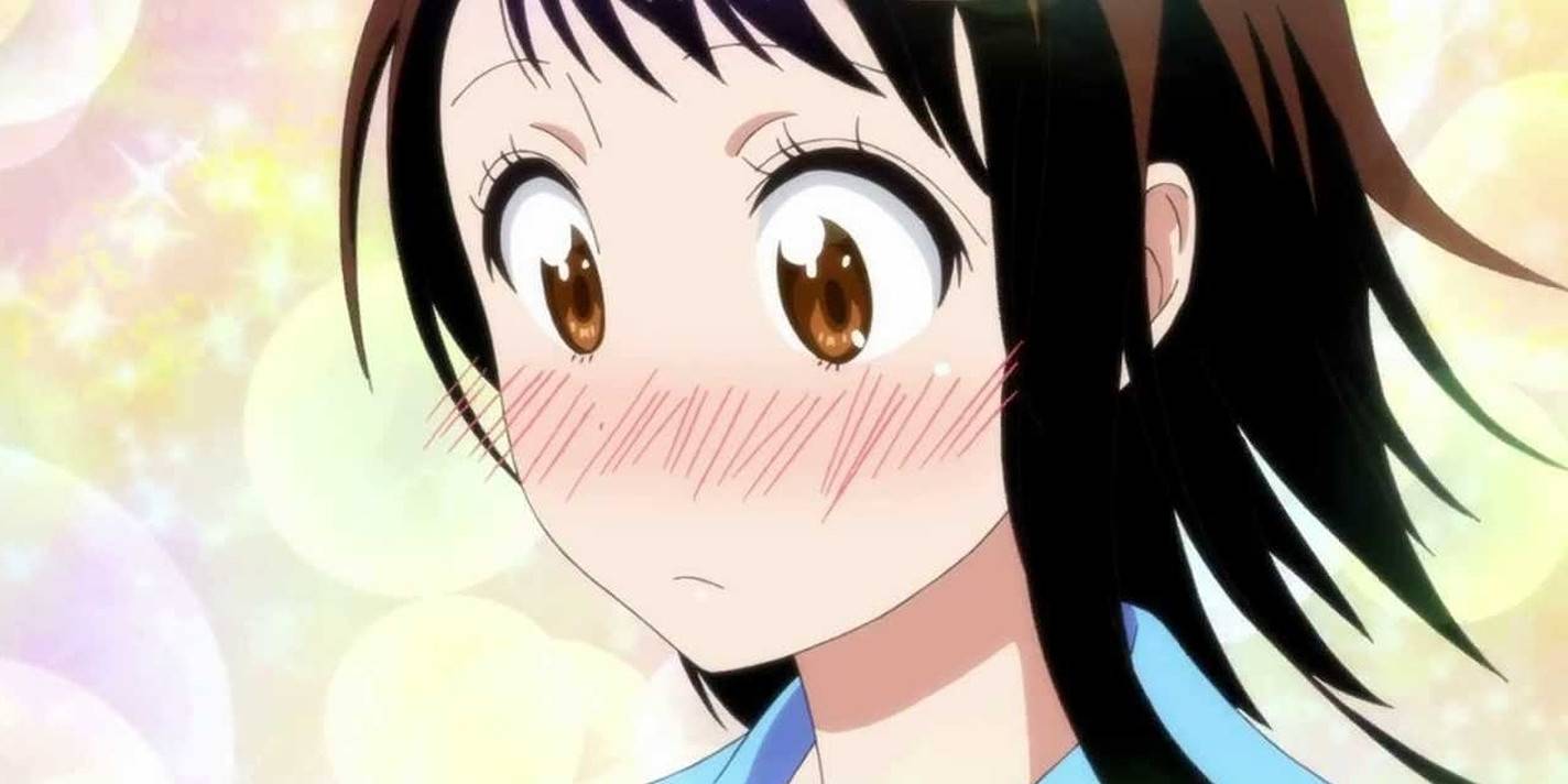 6 nhung anime chua kip ket thuc khat khao cua fan tiep tuc cho doi Những Anime Chưa Kịp Kết Thúc: Khát Khao Của Fan Tiếp Tục Chờ Đợi